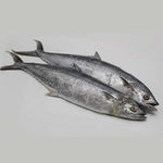 Fresh Tanigue Whole (~2.5kg)