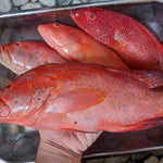 Lapu-Lapu~1kg - Fishers Cart
