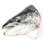 Salmon Head (~750-900 grams)