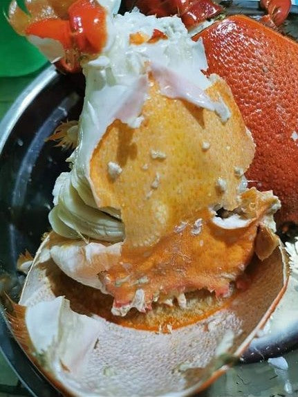 Fresh Curacha Crab (~1kg)